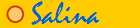  Salina