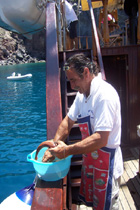 pesce freschissimo